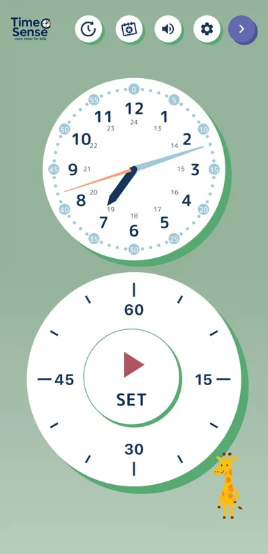 TimeSense · Forest